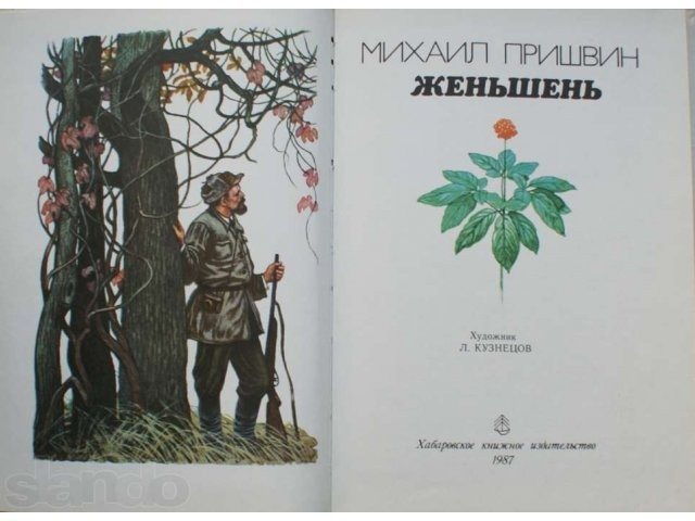 20230728 женьшень