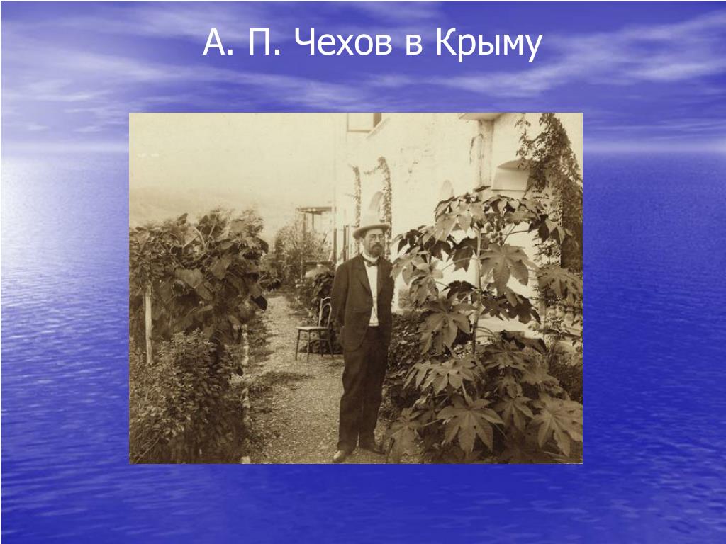 25.07 чехов в крыму