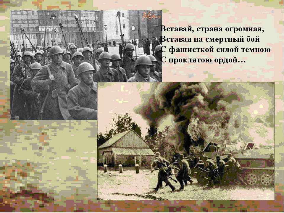 25962амчап