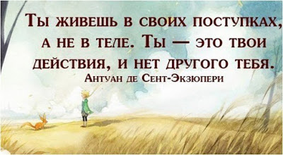 4452ддл