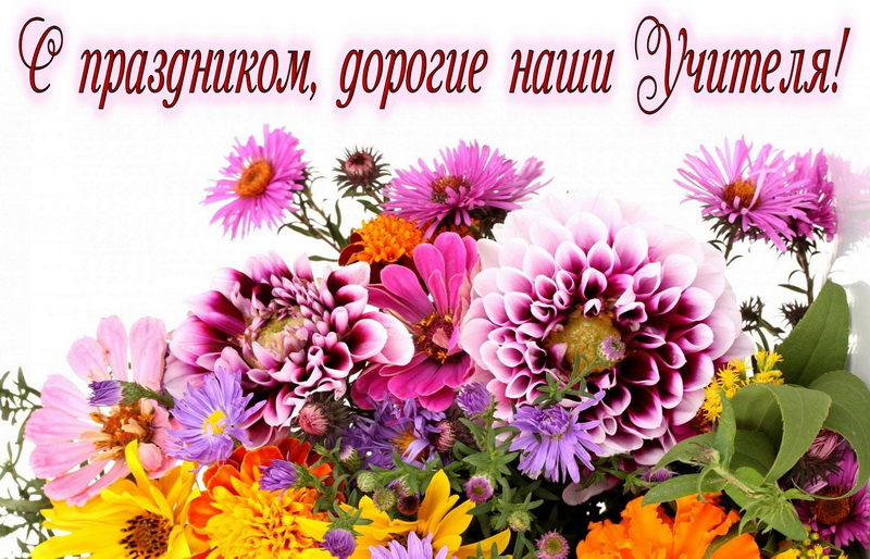 792434верпо