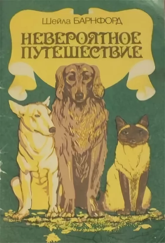 11200058888