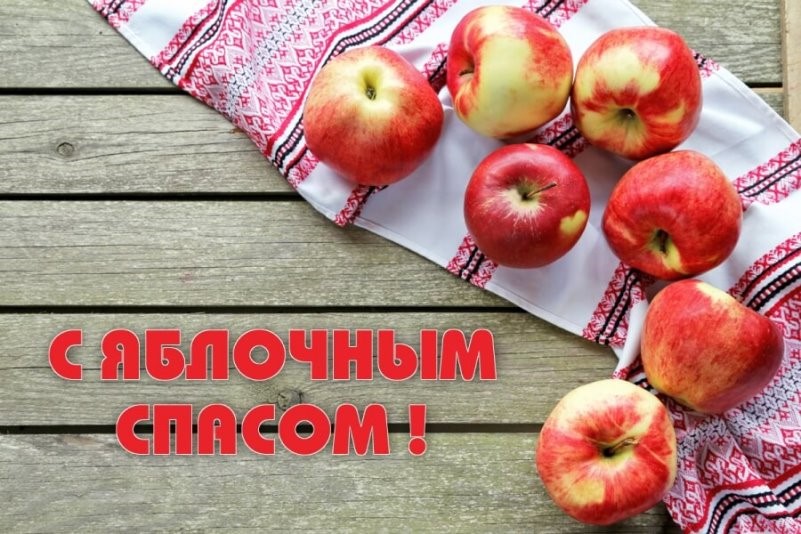 45625826552пнрп