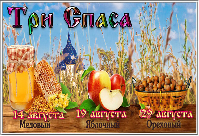 54845121квпа