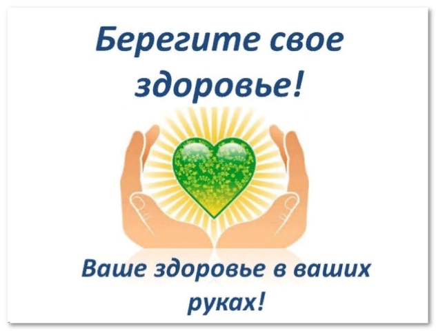 85685212522520папек
