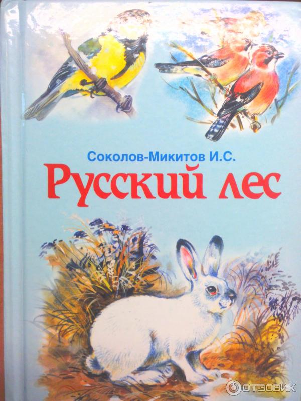 720811 46945406