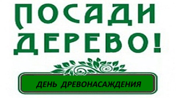 7855ролролро