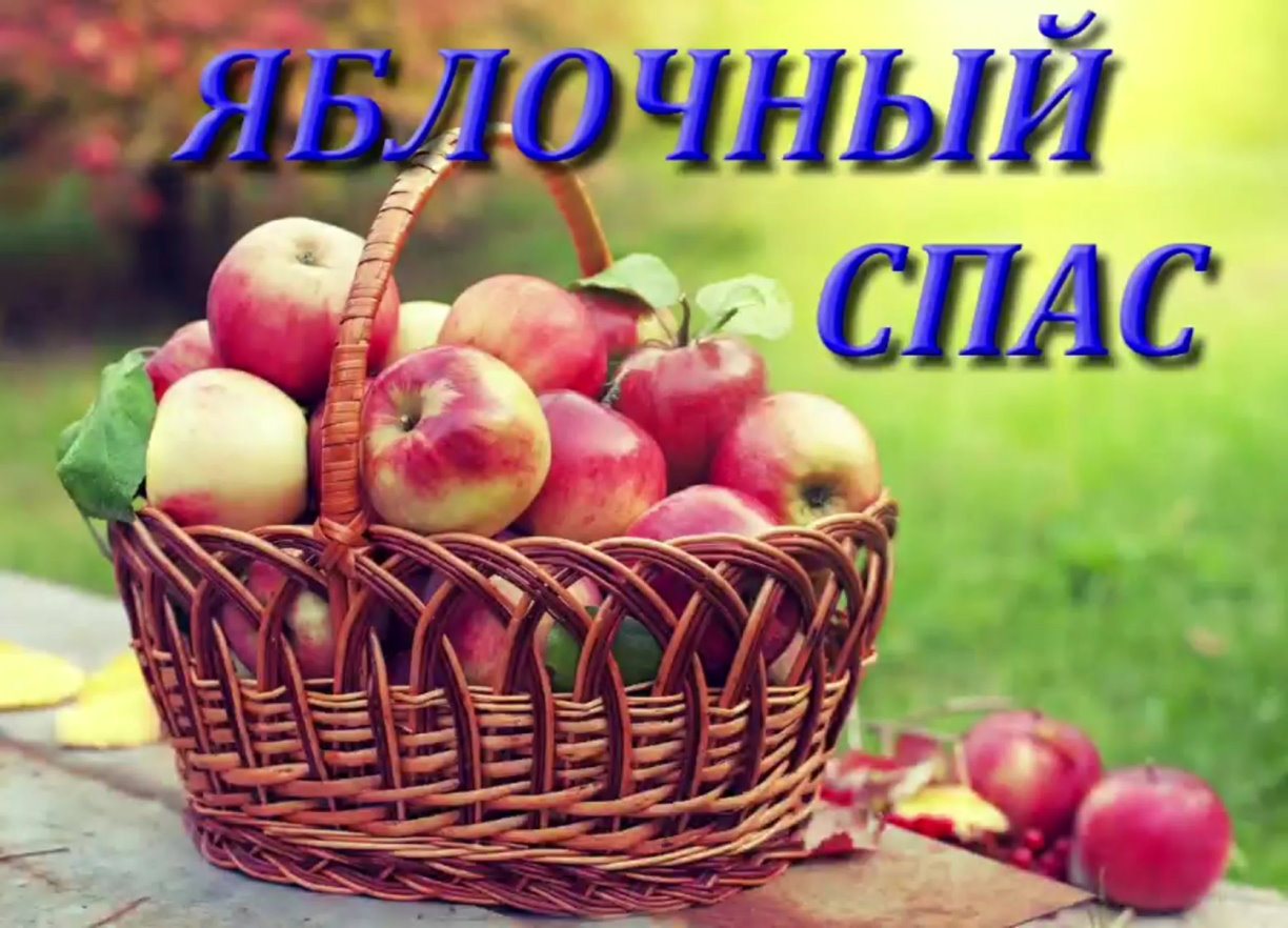 30.08 спас 3