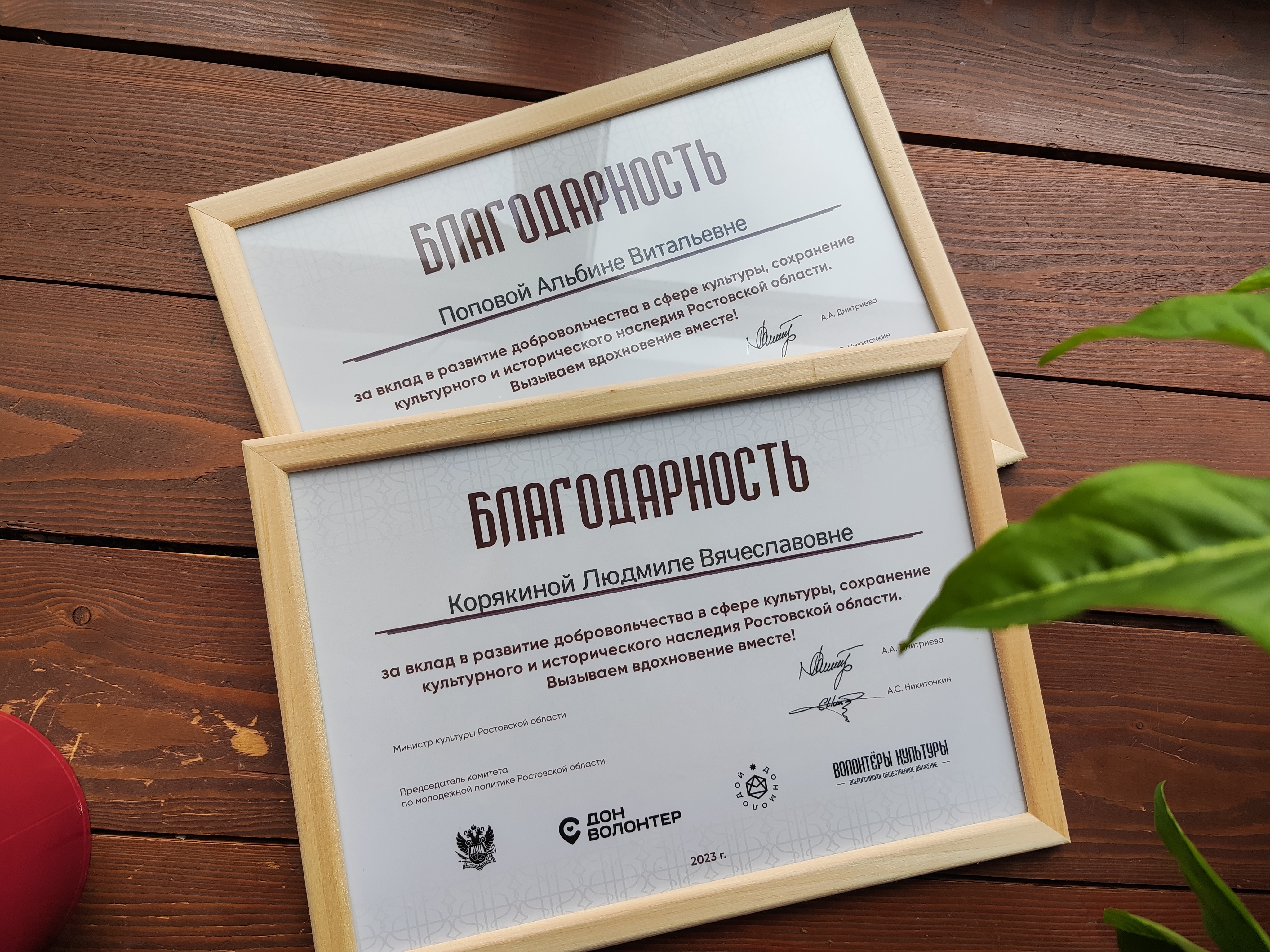 20231128 слетволонтеров 2