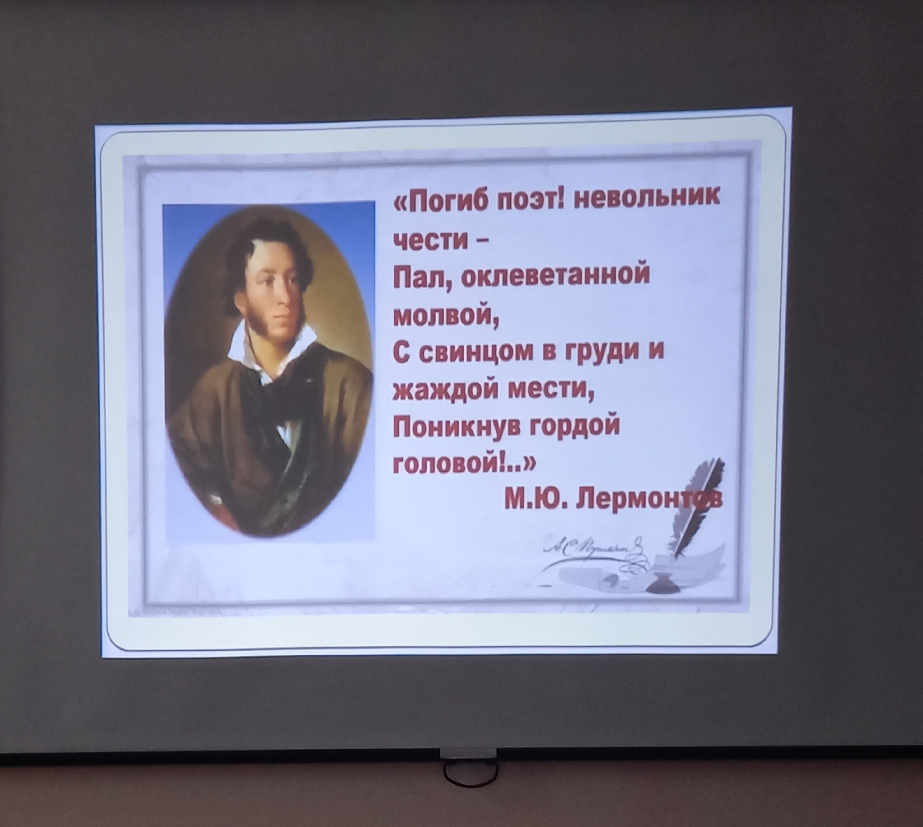 20240209 новаяцелина 3