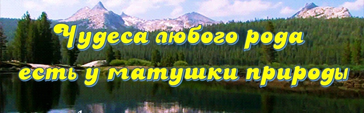 20240605 чудеса 1