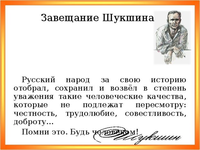 20240717 новаяцелина 2