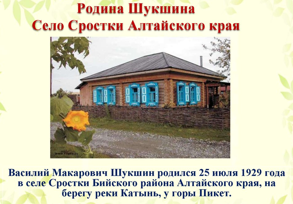 20240723 шушкин 4