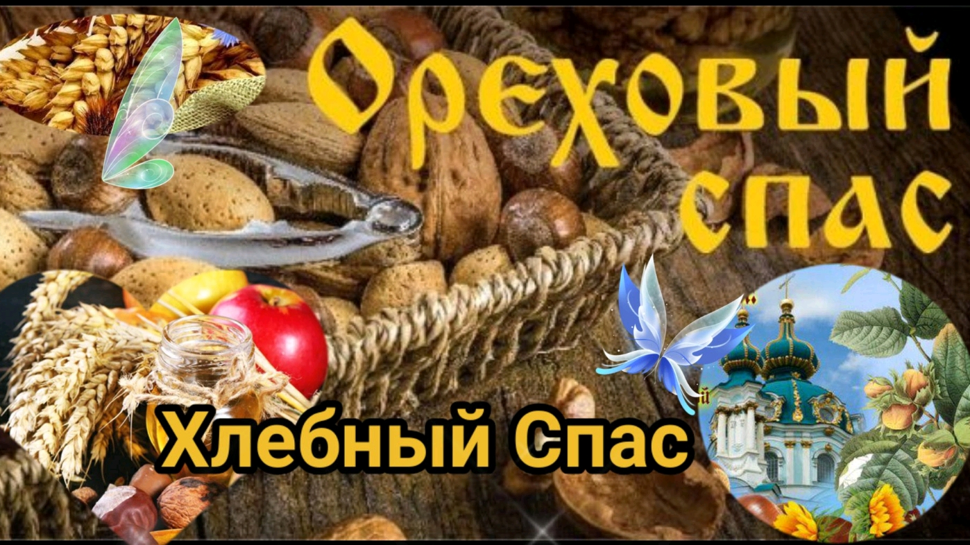 20240815 триспаса 2