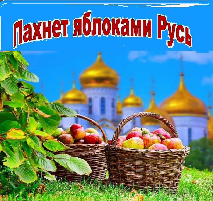 20240815 триспаса 3