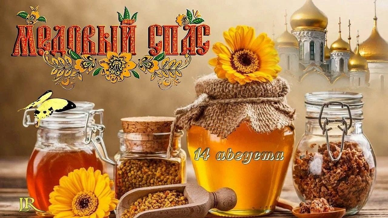 20240815 триспаса 5