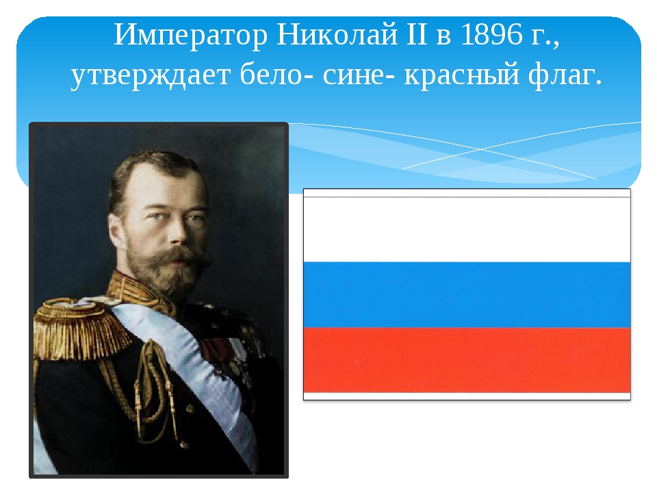 20240822 трехцвет 3