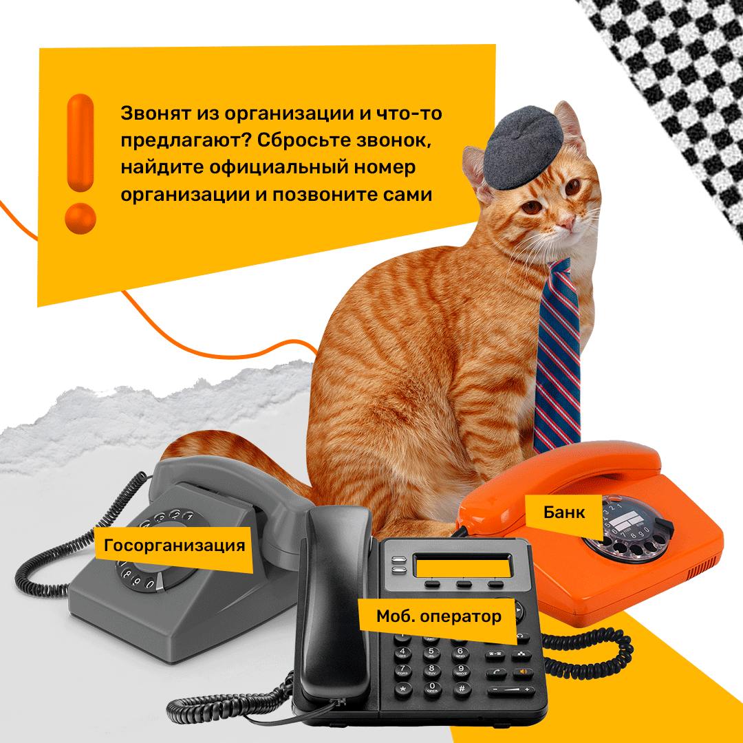 20241117 уфгю 3