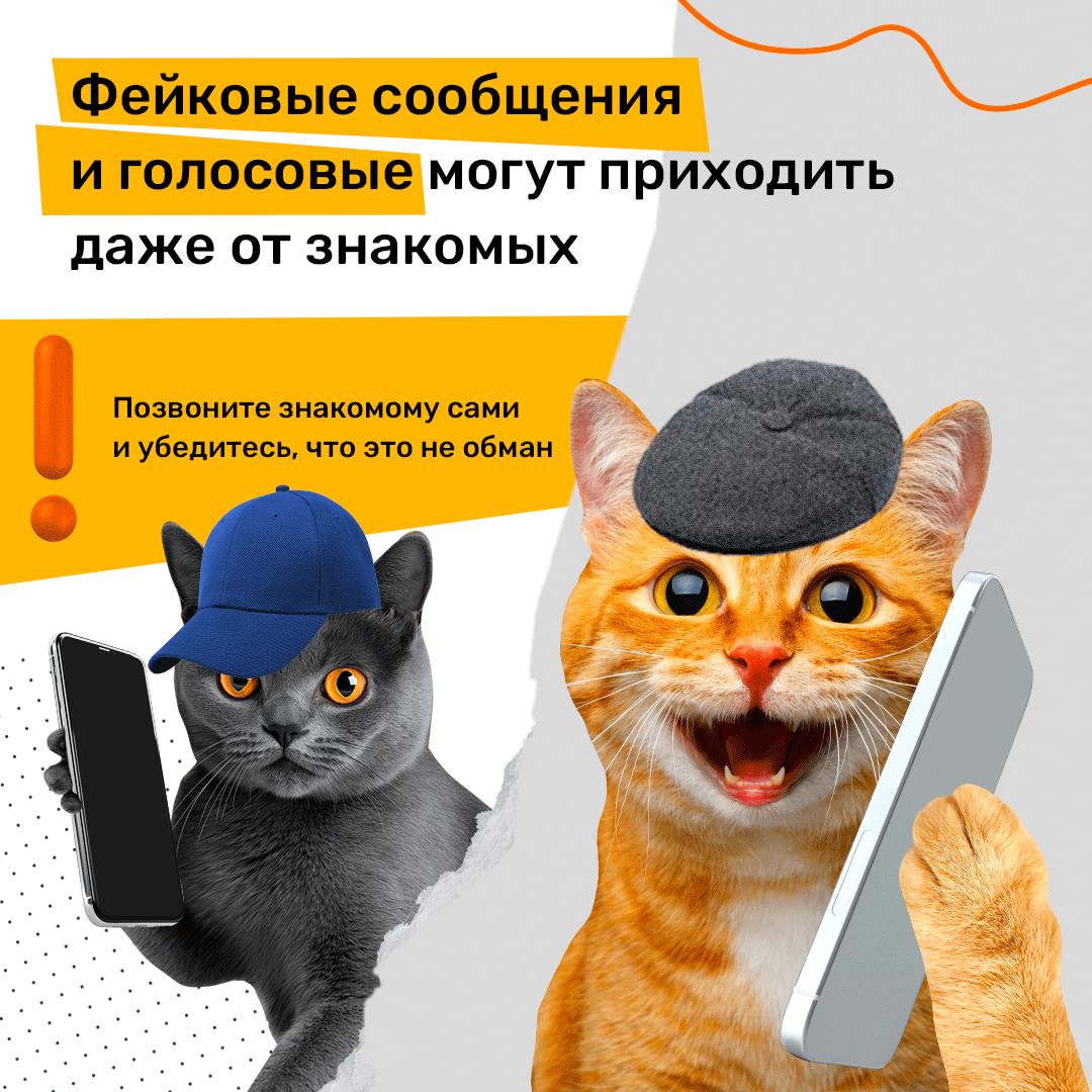 20241117 уфгю 4