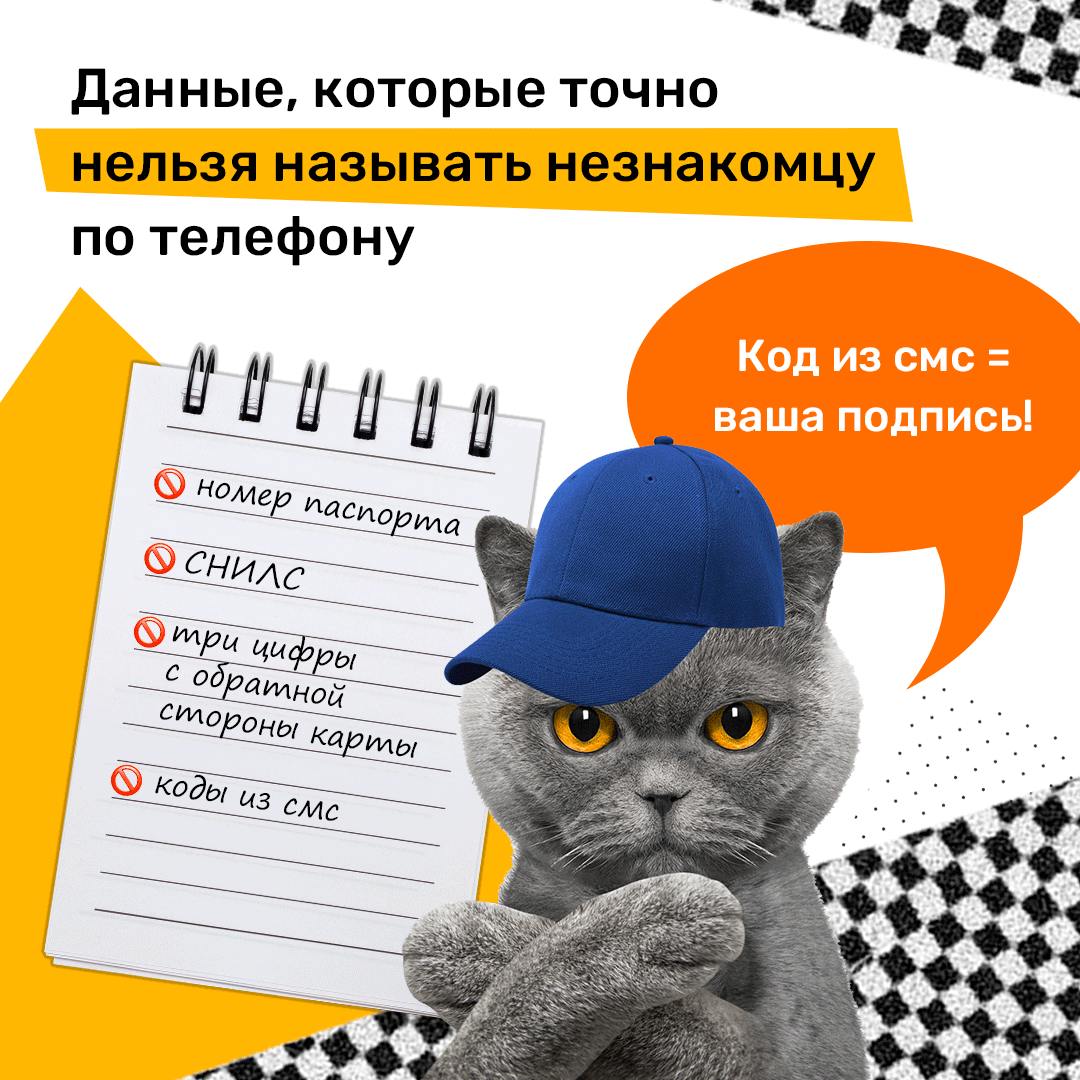 20241117 уфгю 5