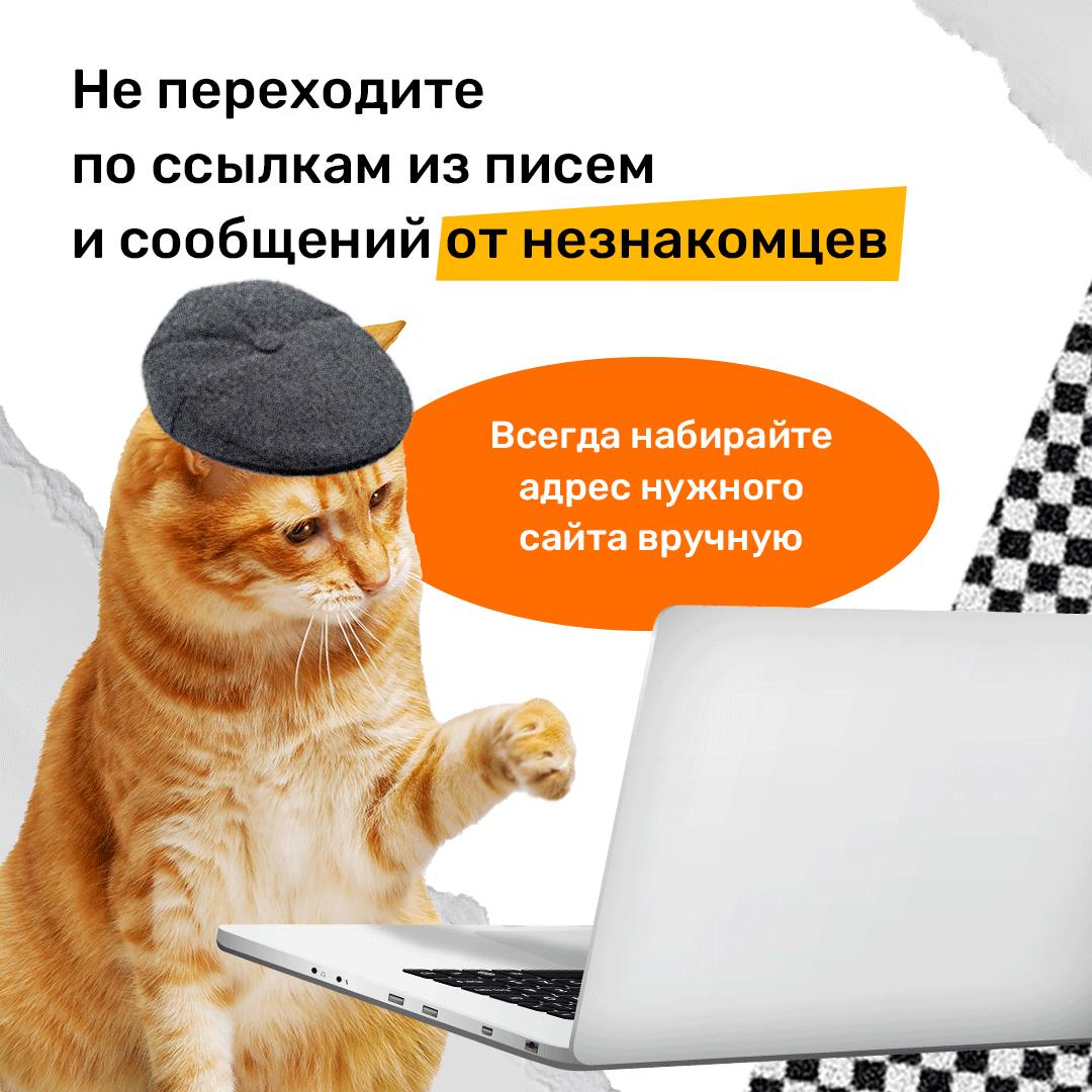 20241117 уфгю 6