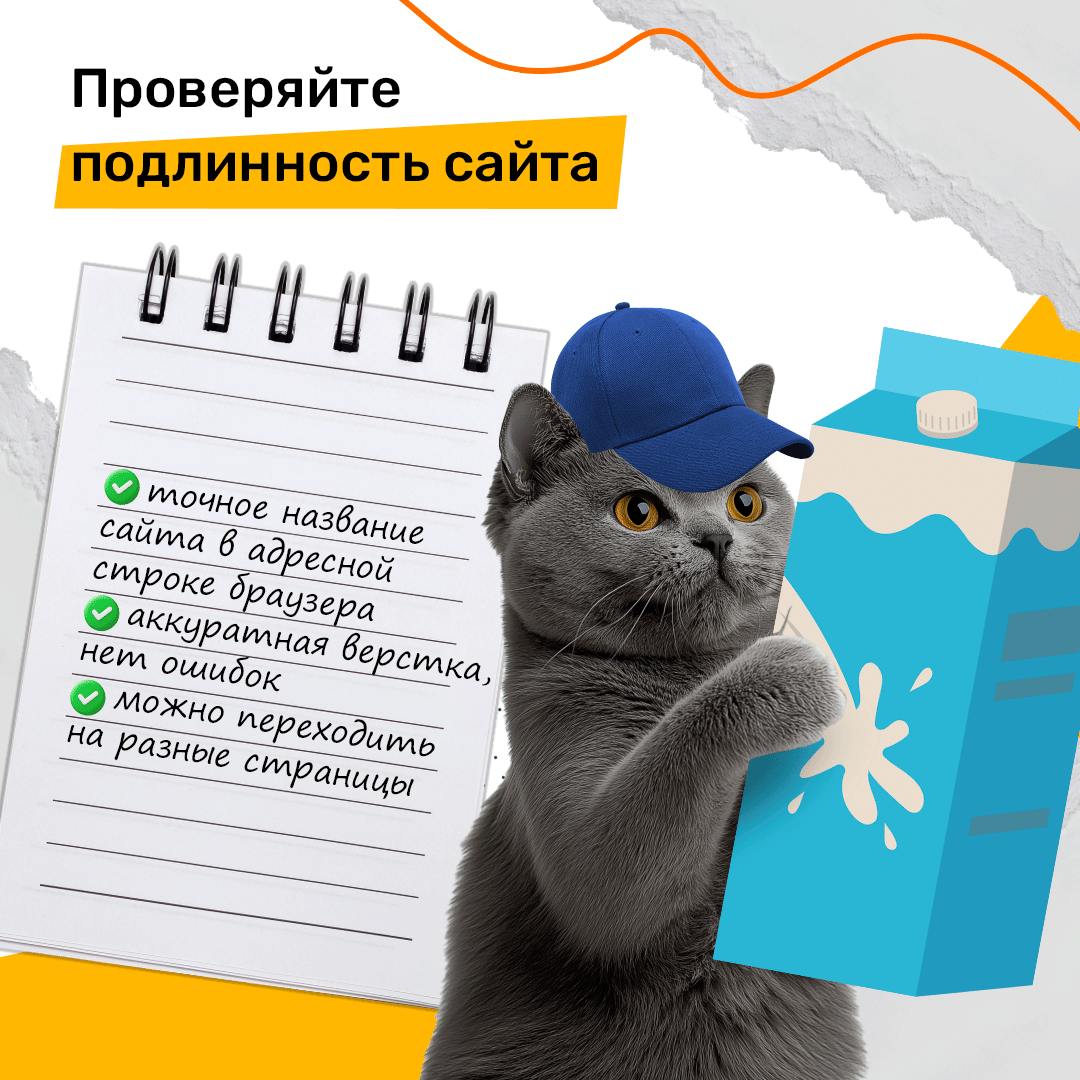 20241117 уфгю 7
