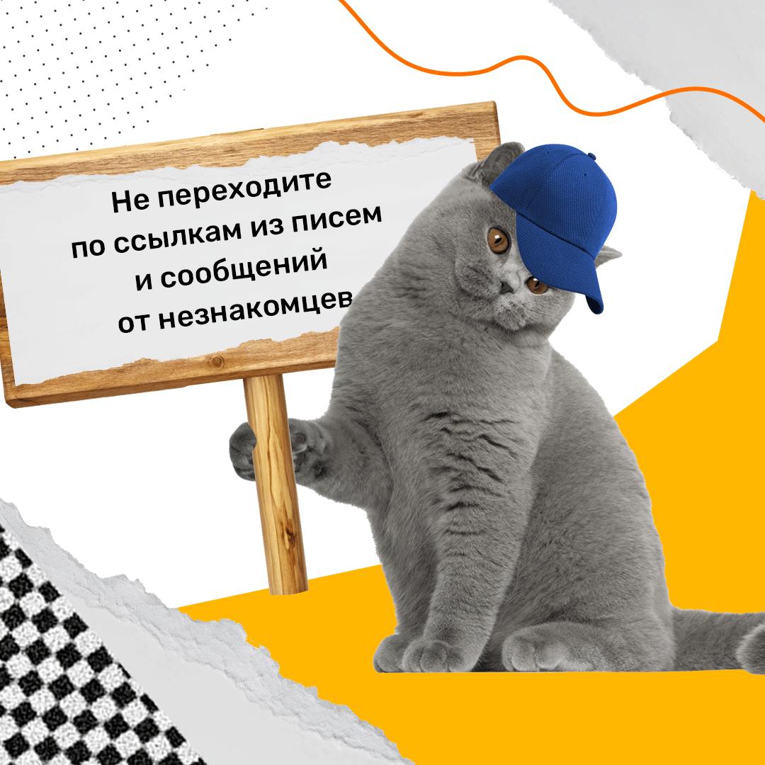 20241117 уфгю 8