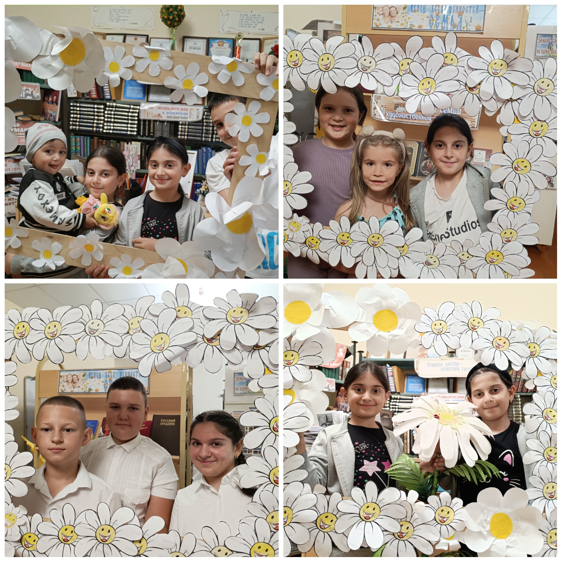 078.07 Михайловка ромашковое2