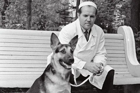 08.8 Журавлевка Демихов