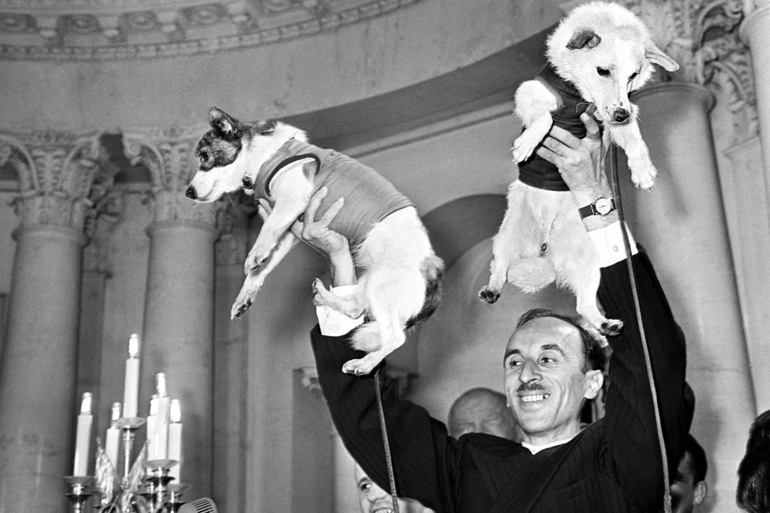 19.08 журавлевка четероногие4