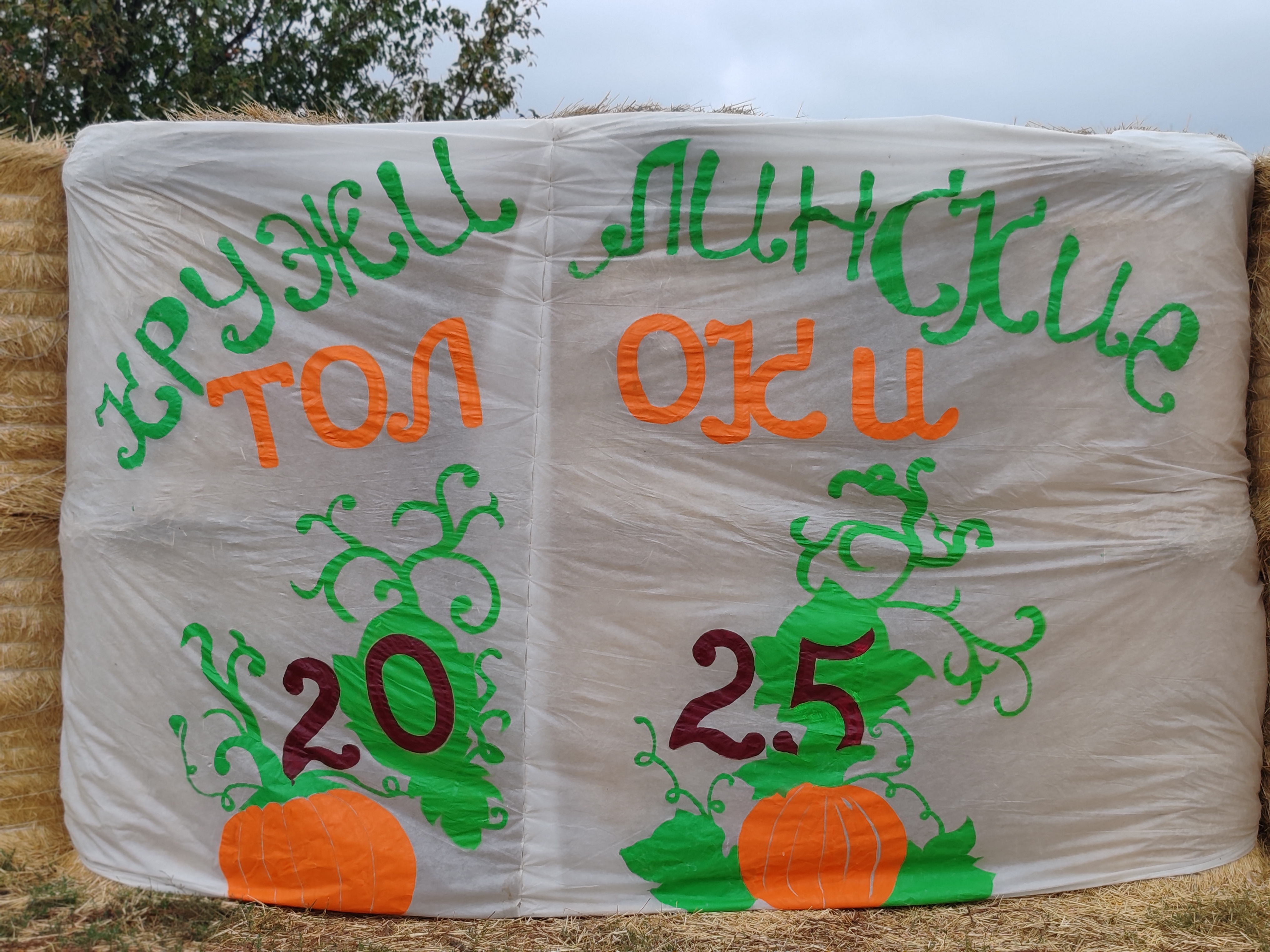 26.08 Культурный лагерь3