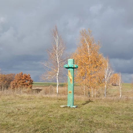 22.10 Северный бунин