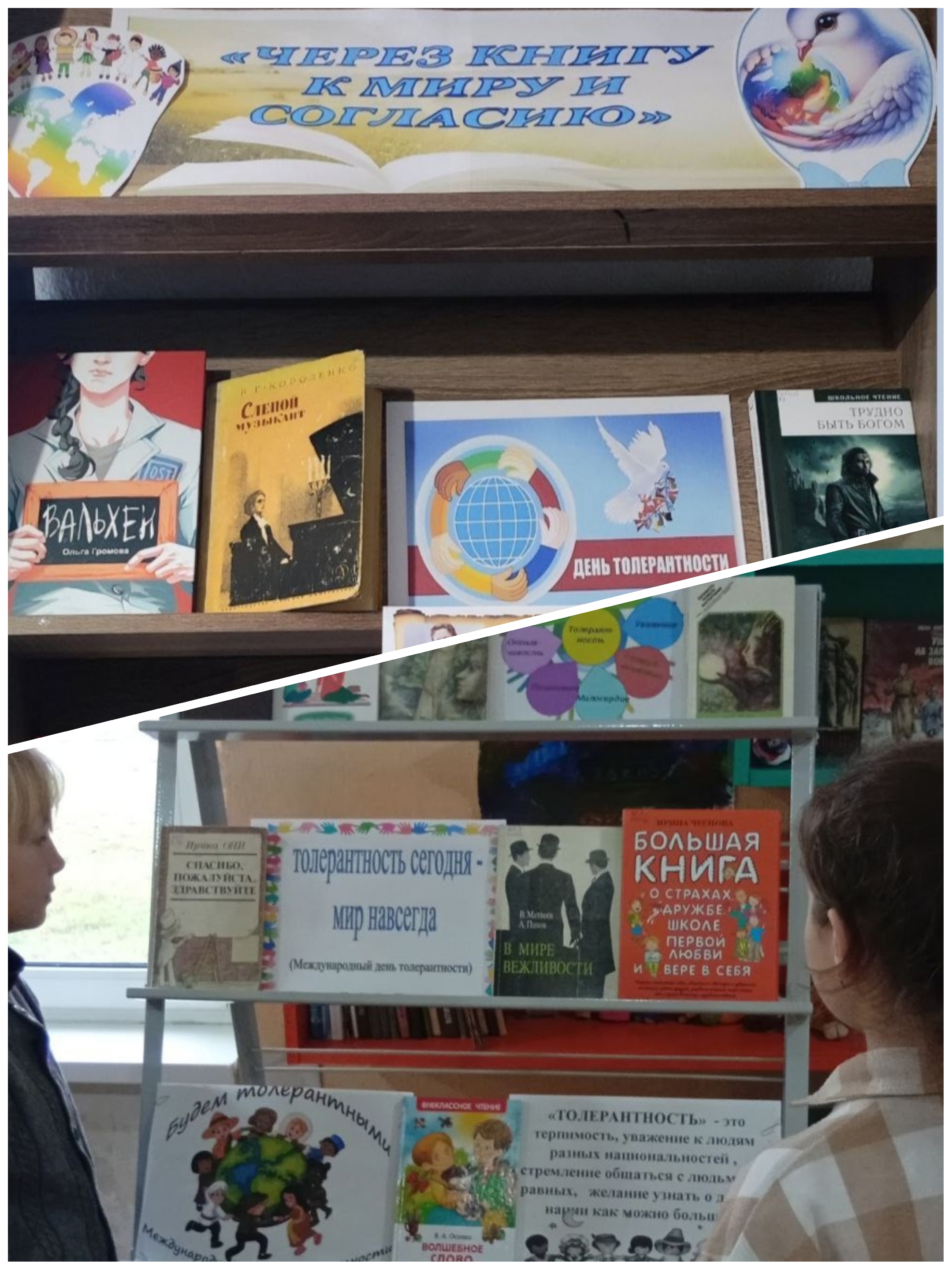 16.11 Михайловка толерантность2