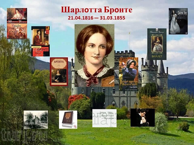 12384210орлпро