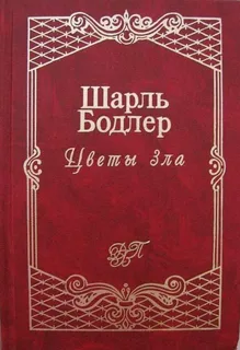 45652054896апрвапв