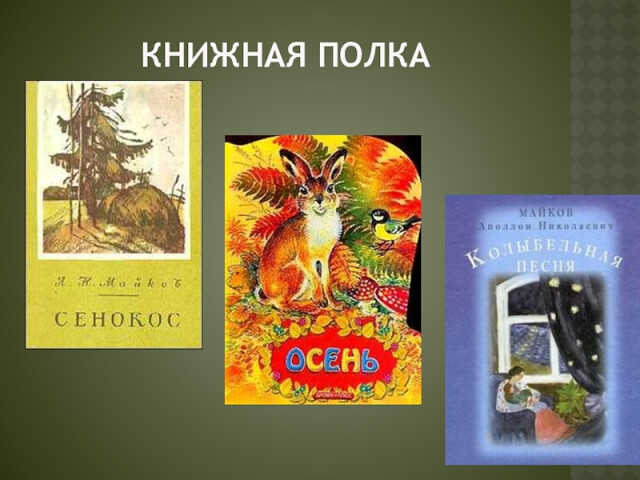 552480025щщщд