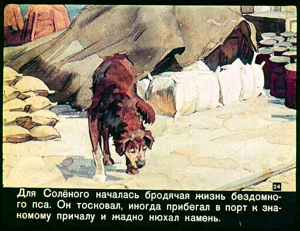 20230420 кнорре 1